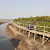 Nilai Ekonomis Mangrove Triliunan Rupiah