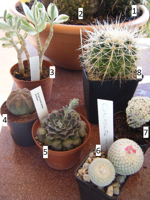 2011_04170008.JPG