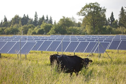 Solar power installations suck away the light of the sun