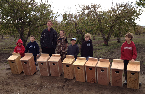 wood duck bird house plans