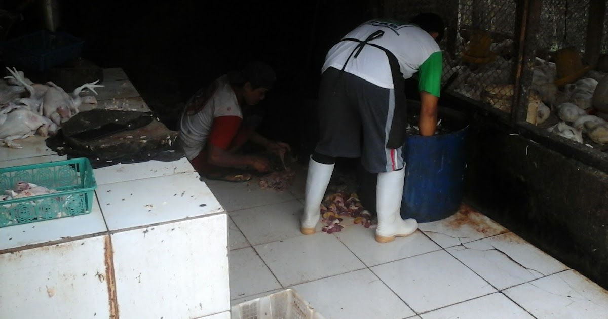 Bubuk Mikroba Penghilang Bau Busuk  Limbah Cair Limbah 