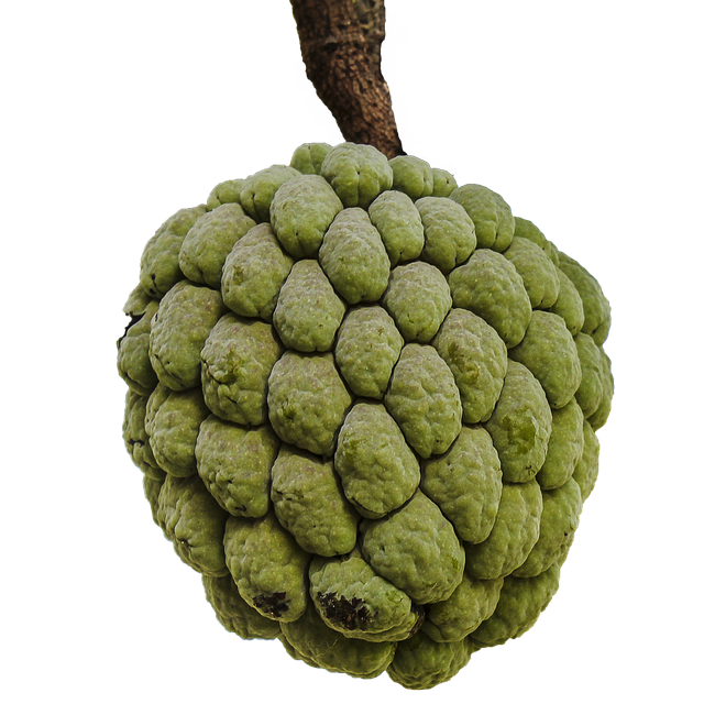 Custard apple