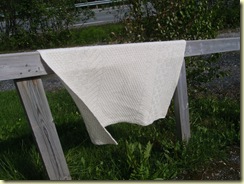 P6240008