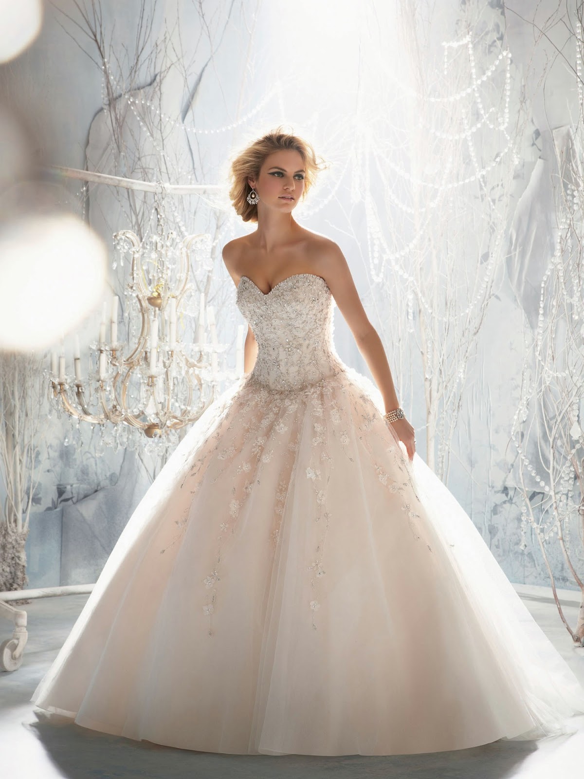 wedding dresses 2014 ball gown Truly Exciting Wedding Dress, Bridal Gown For Reception Party