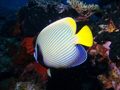 PICT0613