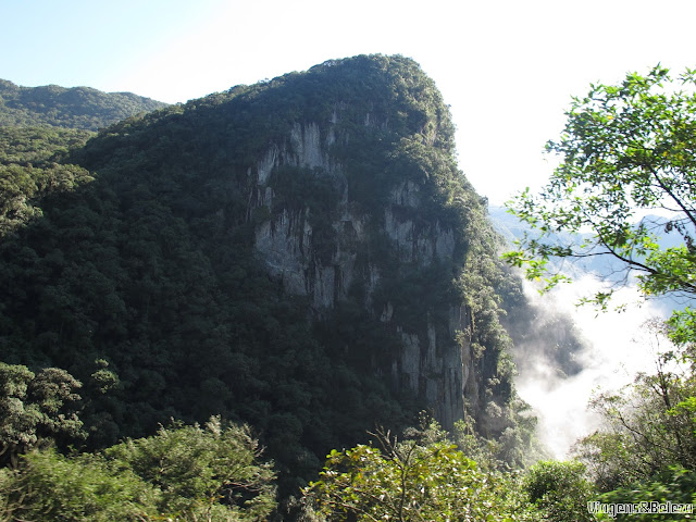 Passeio de trem pela Serra do Mar paranaense