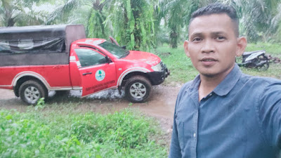 Harimau Sumatera, Mangsa Sapi Warga di Lubuk Panjang, Tigo Nagari 