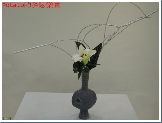 DSCN6136