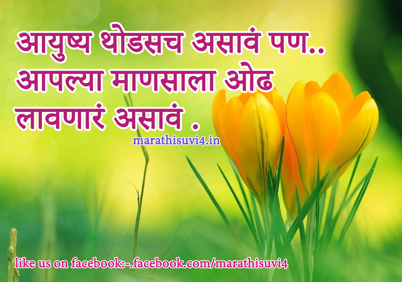 how should life be live quotes in marathi the best life quote collection with fun images Quotes About Life marathi english indian languages and