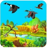 Download Duck Hunting Archery apk