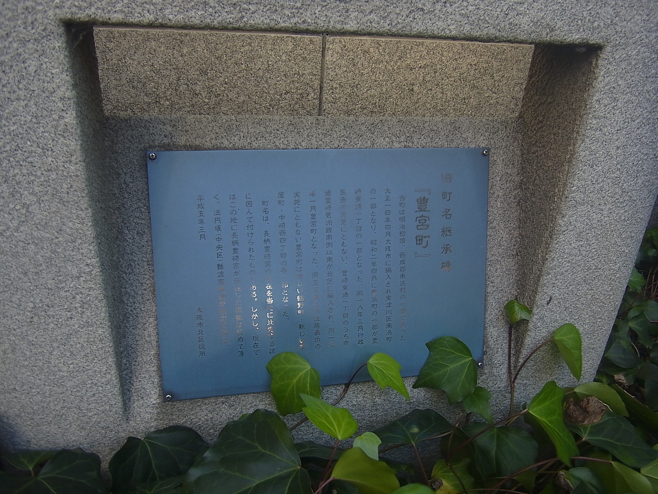 写真: 