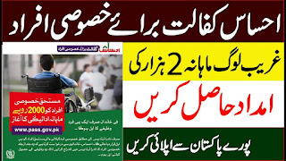 Ehsaas Disabled Person Registration Check Online - www pass gov pk Special Person Registration