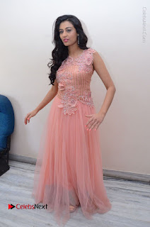 Actress Neha Hinge Stills in Pink Long Dress at Srivalli Teaser Launch  0144.JPG