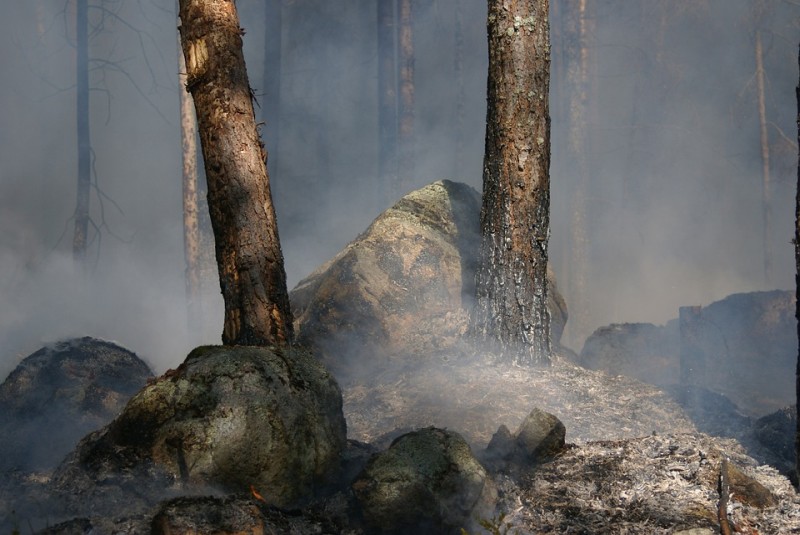 Se cancela Alerta Roja para la comuna de San Pablo por incendio forestal