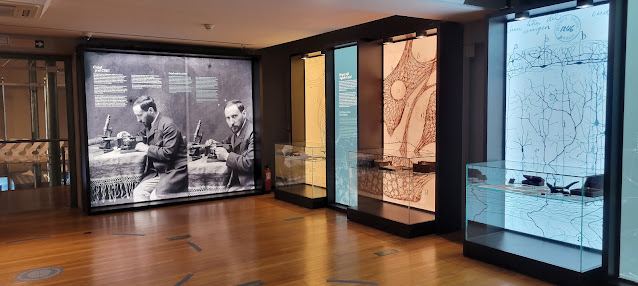 Cajal exhibition at the Museo Nacional de Ciencias Naturales, Madrid, Spain.