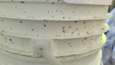 Tiny holes for air in homemade worm bin
