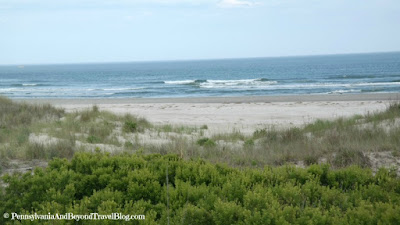 Cape May National Wildlife Refuge in New Jersey