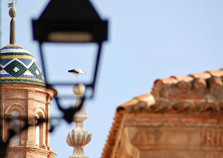 Cigueña en San Juan