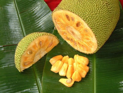 fruit Jackfruit 