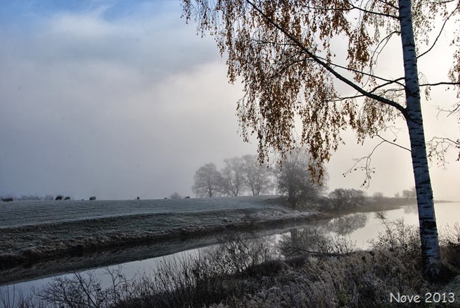 DSC_9900