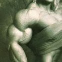 Female Muscle Morphs Gallery