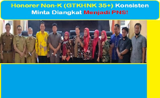 Honorer Non-K (GTKHNK 35+) | Konsisten Hanya Minta Diangkat Menjadi PNS!