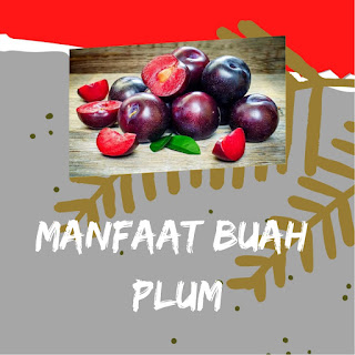 MANFAAT BUAH PLUM
