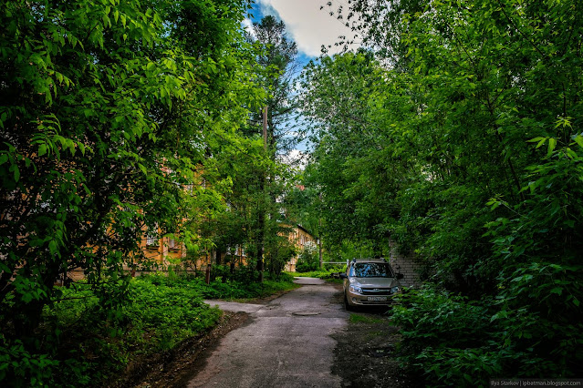 Узкая асфальтированная дорога среди деревьев и домов
