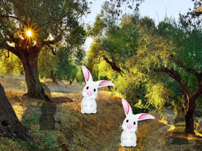 Olive Tree Land Escape
