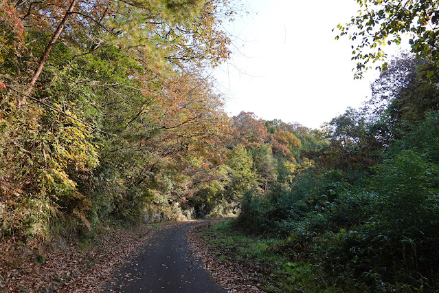 鳥取県西伯郡南部町池野 山道