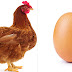 Which came first, The hen or The egg