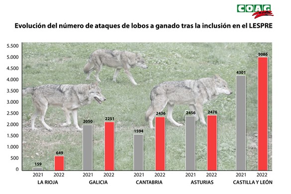 Nº de cabezas de ganado muertas por ataques de lobo