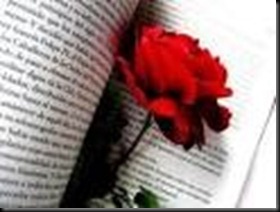 angutiadoamor