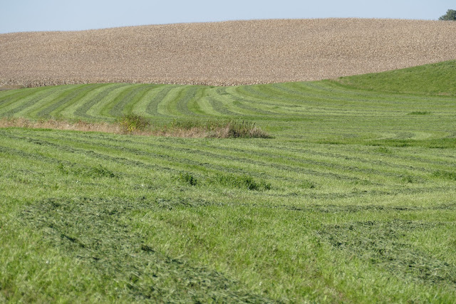 Alfalfa fall potassium fertilizer winter hardiness Minnesota