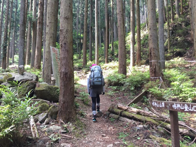 鳴神山の登山道