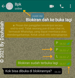 Gambar chat yang sudah berhasil dibuka blokirannya