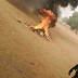 Blasphemy: Mob beats man to death in Bauchi, burns his corpse for allegedly insulting Prophet Muhamma