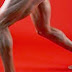 Know Your Muscles - The Lower Body
