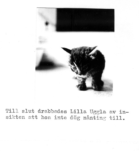 lillauggla-7