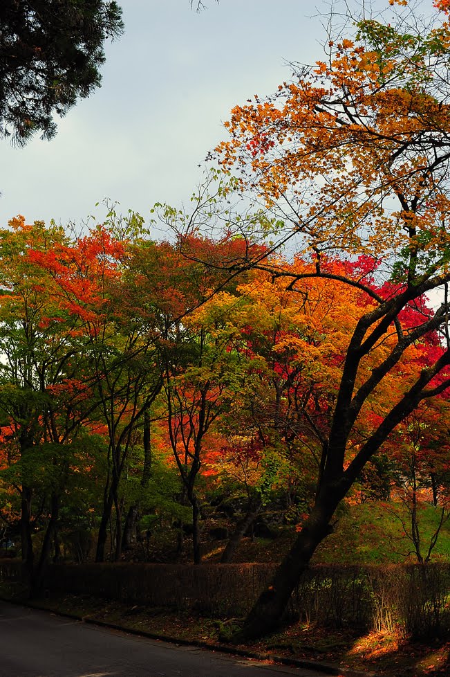 [日光鬼怒川写真３DSC_0208.jpg]