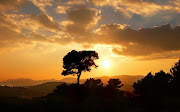 gallery Sunset Behind Trees . Nature wallpapers,photos (sunset with tree wallpapers nautre photos morningsun pictures www)