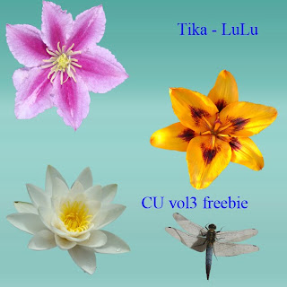 http://tika-lulu.blogspot.com/2009/07/tika-lulu-cu-vol-3-freebie.html