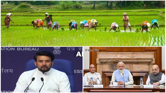 मोदी कैबिनेट ने बढ़ाई 14 खरीफ फसलों की MSP, धान के समर्थन मूल्य में 100 रुपये प्रति क्विंटल की बढ़ोतरी - ETV News 