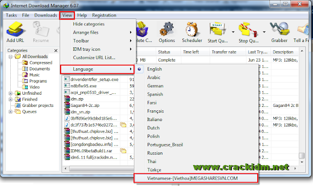 viet hoa idm, download idm tieng viet