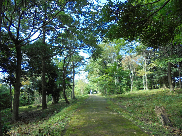 弥生の森遊歩道