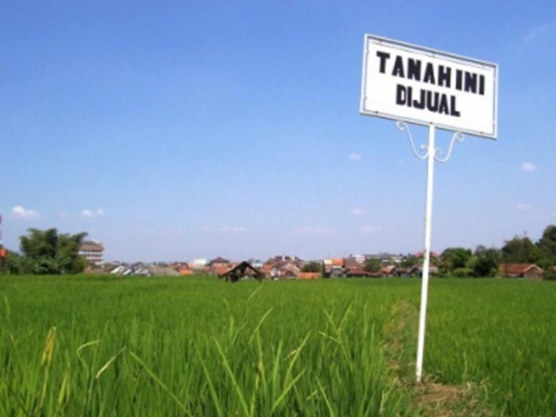 Sedih tapi benar