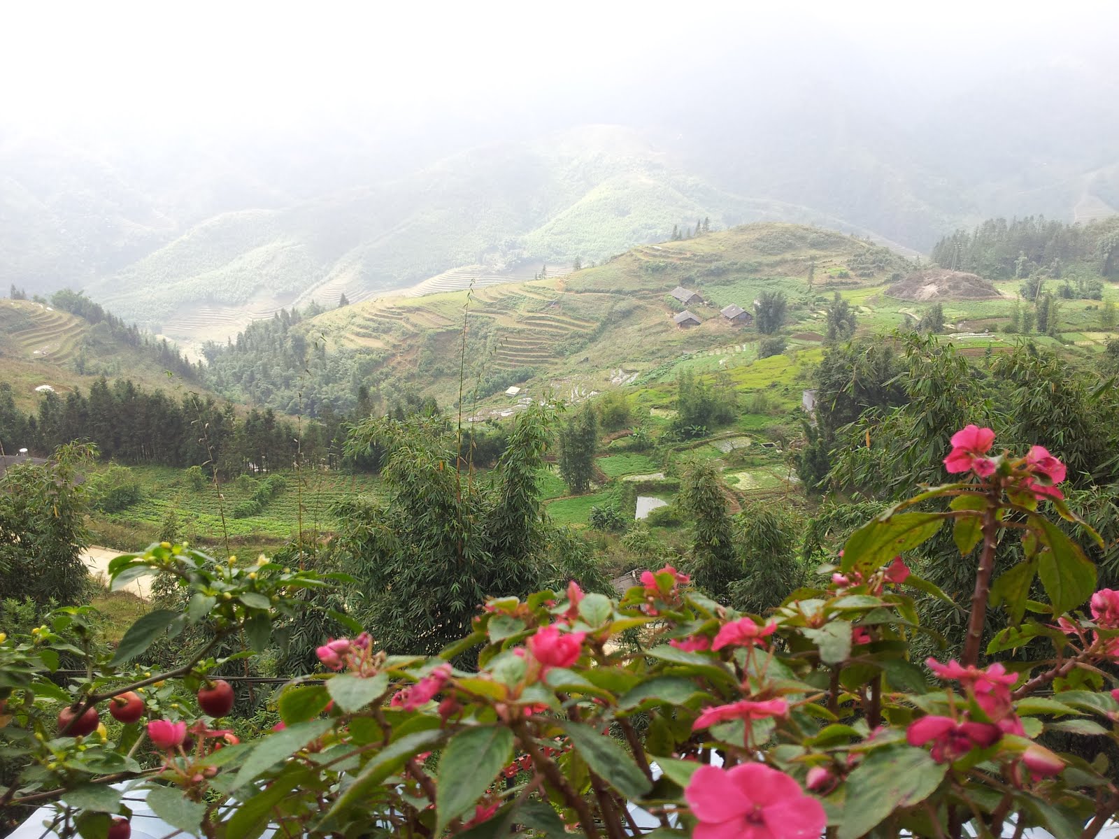 Sapa morning: The mist is leaving and the view towards the valley with ...