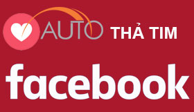 auto thả tim