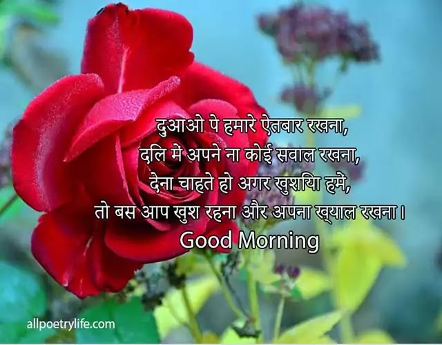 good-morning-love-shayari-in-hindi-morning-romantic-shayari-status-wishes
