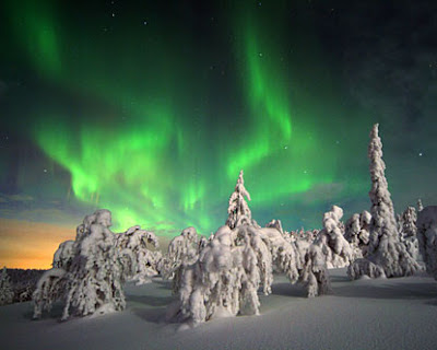 Snow Finland Aurora Borealis Trees Snow-covered